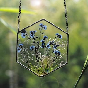 forget me nots, Stained Glass Frame, pressed flower frame, pressed plant frame, framed dried flowers, flower hanging, hanging glass decor