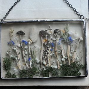 K&ouml;nnte beinhalten: Ein gerahmtes Kunstwerk mit einer Sammlung getrockneter Pilze, Blumen und Gr&auml;ser. Die Pilze sind wei&szlig; mit braunen Kappen, und die Blumen sind blau und wei&szlig;. Das St&uuml;ck ist in einem silbernen Metallrahmen gerahmt.