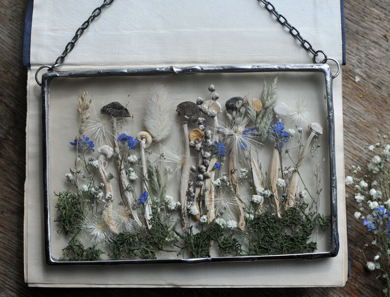 K&ouml;nnte beinhalten: Ein gerahmtes Kunstwerk mit einer Sammlung getrockneter Pilze, Blumen und Gr&auml;ser. Die Pilze sind wei&szlig; mit braunen Kappen, und die Blumen sind blau und wei&szlig;. Das St&uuml;ck ist in einem silbernen Metallrahmen gerahmt.
