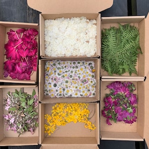 May include: Six cardboard boxes, each filled with a different type of dried flower or foliage. The boxes are arranged in a grid pattern on a black surface. The flowers include white daisies, pink and purple flowers, yellow flowers, and green ferns.