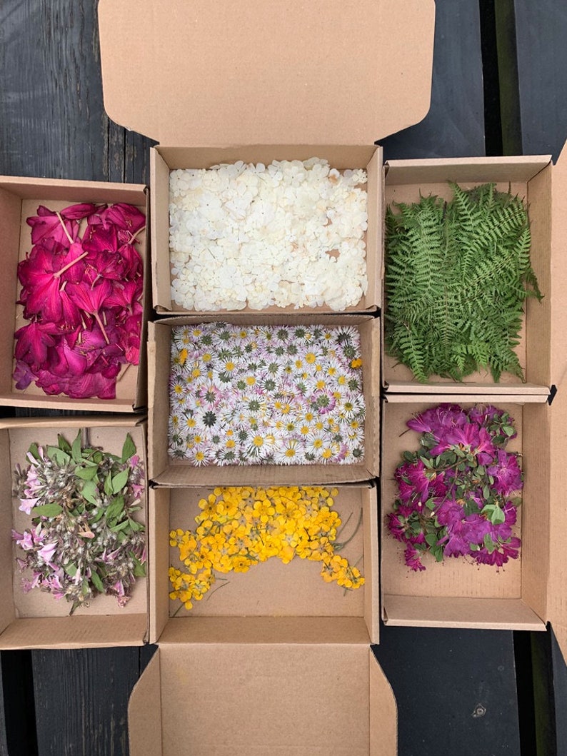 May include: Six cardboard boxes, each filled with a different type of dried flower or foliage. The boxes are arranged in a grid pattern on a black surface. The flowers include white daisies, pink and purple flowers, yellow flowers, and green ferns.