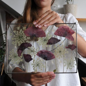 Real Pressed Poppies and Queen Anne’s Lace in Glass Frame | Horizontal Dried Flower Wall Art | Botanical Nature Decor Handmade Gift