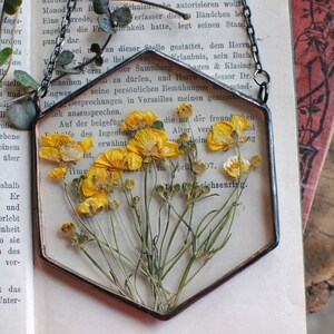 Gepresster Blumenrahmen, gepresste Blumenkunst, gepresste Blumen, getrocknete Blumen, botanische Kunst, gepresster Pflanzenrahmen, gerahmte getrocknete, gelbe Blume