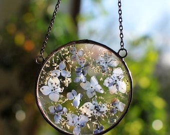 Stained Glass Frame, pressed flower frame, pressed plant frame, pressed hydrangea, framed dried flowers, flower hanging, hanging glass decor