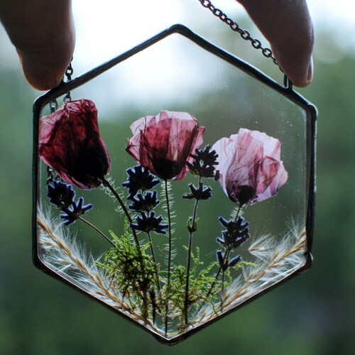 Pressed Flower Frame Hanging Terrarium Stained Glass Frame Etsy