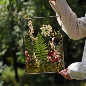 Pressed Flower Frame, Stained Glass Panel, Herbarium Frame, Floral Preservation, Framed Flowers, Dried Flower