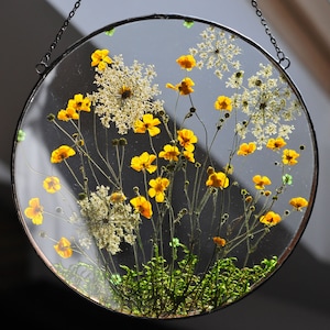 Pressed Flower Art: Large Circle Frame, Botanical Wall Decor
