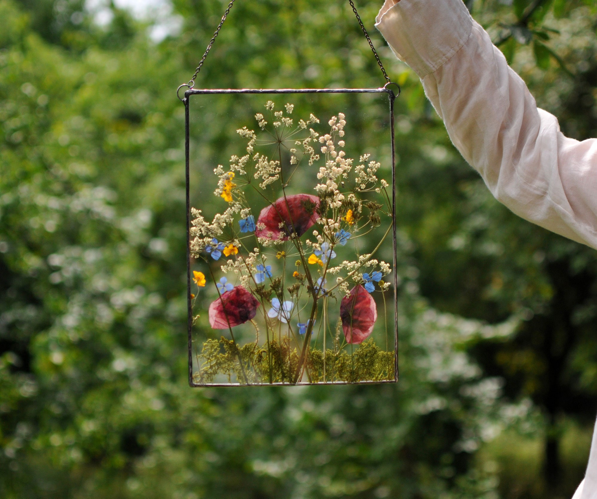 Home D cor Nature Decor Pressed Flower And Plant Wall Art Stain Glass