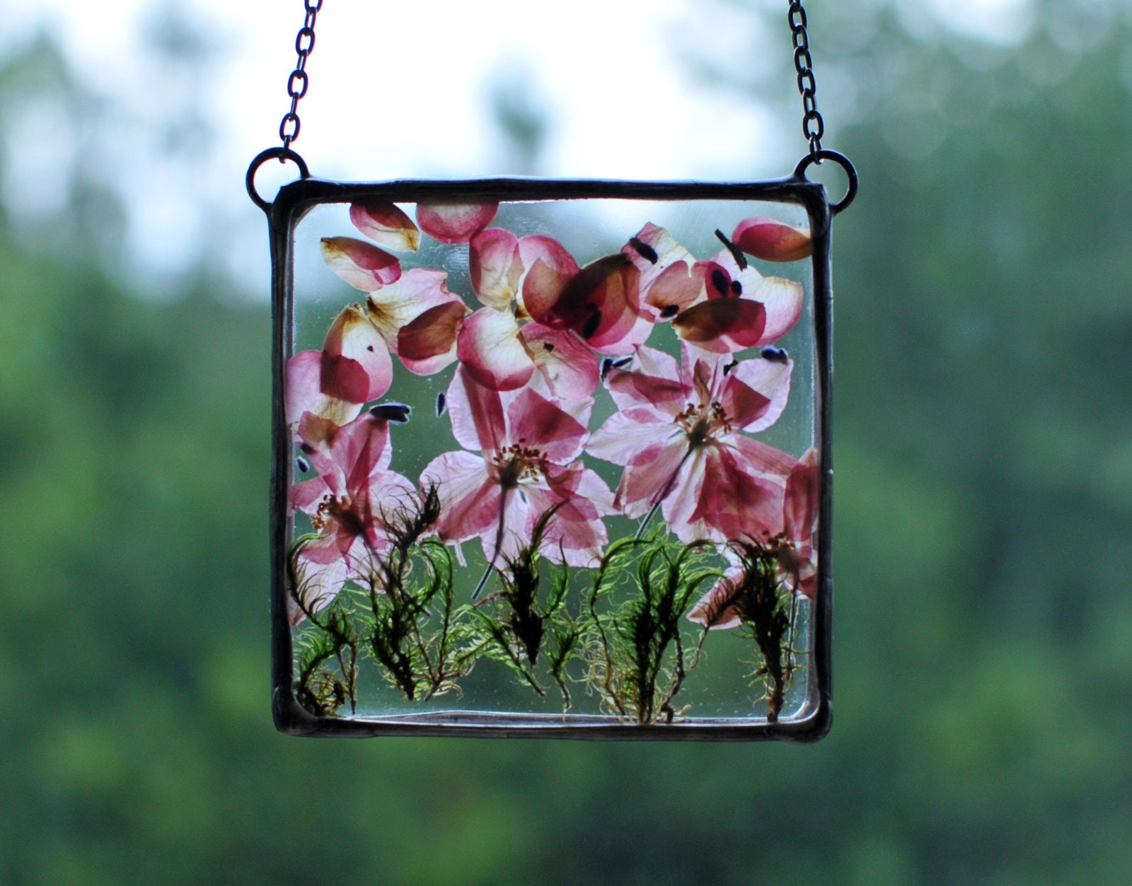 Sale Pressed Flower Frame Stained Glass Frame Double Glass Etsy