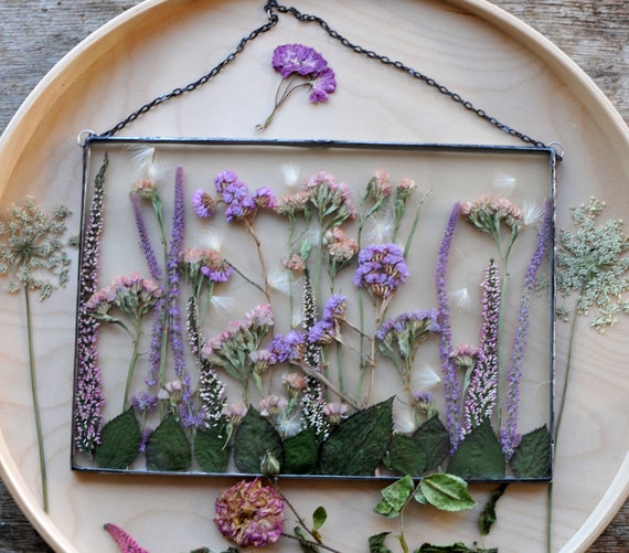 Vintage natural dried flowers, herbarium picture under glass in