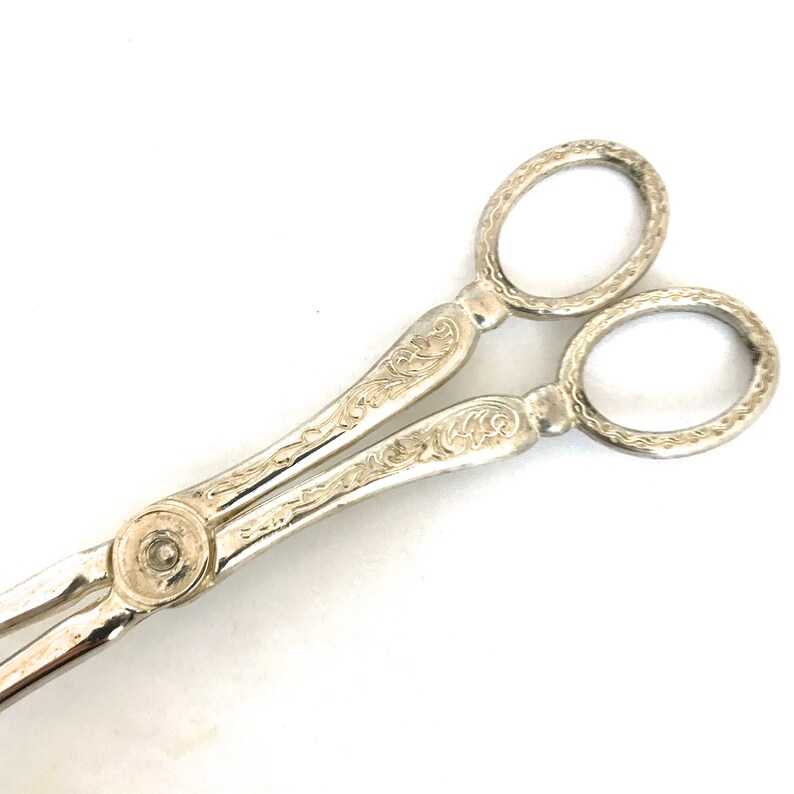 Vintage Silver Plated Scissor Claw Tongs Small Bird Claw Etsy