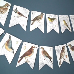 Bird Bunting, Bird Banner, Paper Garland, Bird Pictures, Paper Bunting, Bird Book Banner, Paper Garland, Book Bunting, Up Cycled Bunting