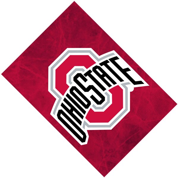 Passport Cover Case Holder -- Ohio State