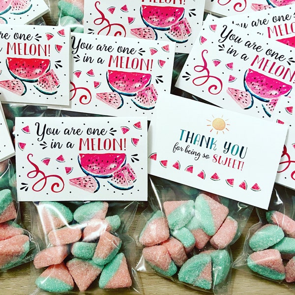 Party Favor Set | Treat Bag + Gift Tag | Sour Watermelon Gummies | One in a MELON Theme | Summer Birthday Wedding Baby Shower Bachelorette