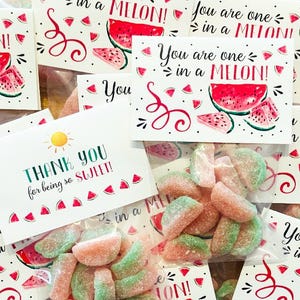 Party Favor | Set of Goodie Bag + Gift Tag | Sour Watermelon Gummy | You&#39;re One In A MELON Theme | Birthday Wedding Baby Shower Class Gift