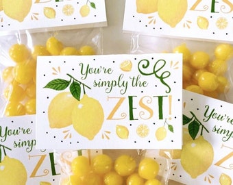 Party Favor | Set of Goodie Bag + Gift Tag | Lemon Hard Candy | You're Simply The ZEST Theme | Birthday Wedding Baby Shower Class Gift