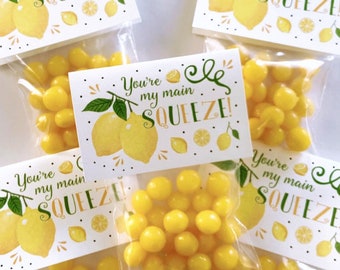 Party Favor Set | Treat Bag + Gift Tag | Lemon Hard Candy | You're My Main Squeeze | Citrus Theme Birthday Wedding Baby Shower Bachelorette