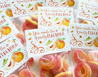 Party Favor Set of Goodie Bag Gift Tag Gummy Peach Rings