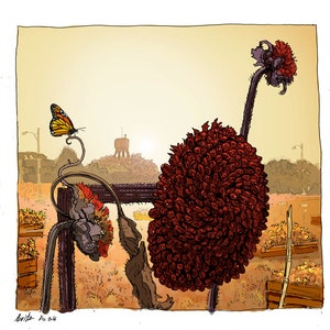 Puede incluir: Una ilustración de acuarela de un girasol con una mariposa posada en un tallo cercano. El girasol está en plena floración con una gran cabeza redonda de pétalos rojos. El fondo es de un naranja y amarillo apagados, lo que sugiere una puesta o salida de sol.