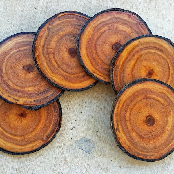 Coasters, Colorado Aspen Wood Coaster Set of 6