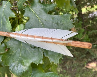 May include: A white fletched arrow with brown and white fletching, resting on a green leaf.