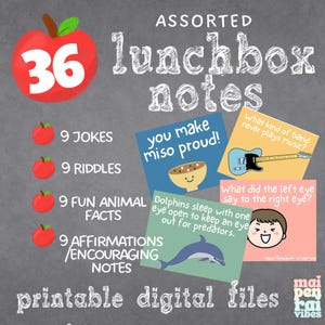 Note assortite stampabili per il pranzo al sacco / 36 carte divertenti per zaino / motivazione quotidiana / giochi di parole / elementare / indovinelli e barzellette per il pranzo al sacco quotidiano