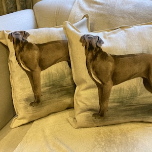 Great Dane, Guinea pig, Springer Spaniel, Cockapoo cushion cover.