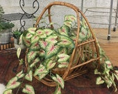 Vintage Rattan Basket Retro 1970s Bohemian Style Magazine Rack Planter Woven Wicker Handle Open Ended Boho Entryway Home Decor