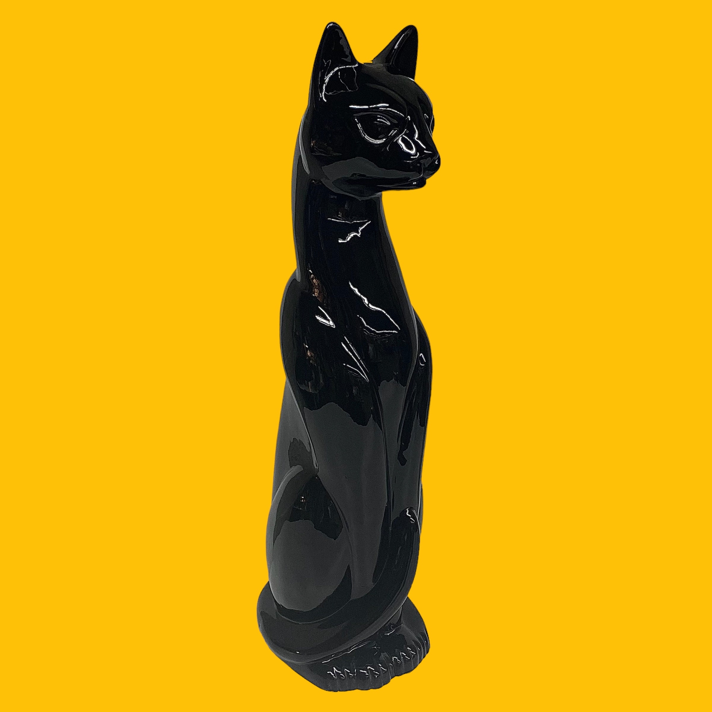 Super spécial 10 paquet de black cat - Messieurs pétards