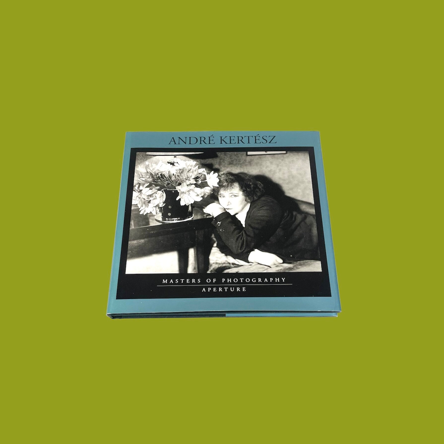 アンドレ・ケルテス 写真集 アパーチャー・マスターズ・オブ・フォトグラフィー André Kertèsz: Masters of Photography Series: Kertész, André