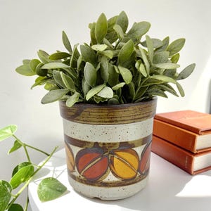 May include: A ceramic planter with a speckled cream base and a dark brown rim. The body features a horizontal band of repeating circular motifs in shades of burnt orange and mustard yellow. A lush green artificial plant sits inside the pot.