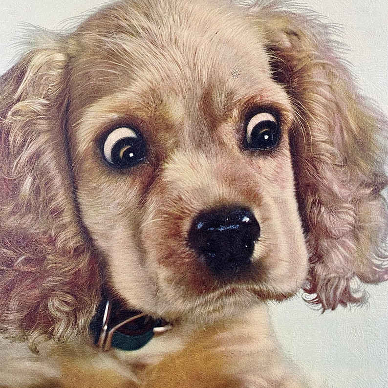 Vintage Leo Aarons Puppy Print 1950s Retro Size 25x21 Mid Century Modern Cocker Spaniel Surprise Dog Wall Art Kids Room or Nursey image 4
