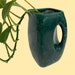 see more listings in the VASE + PLANTER section