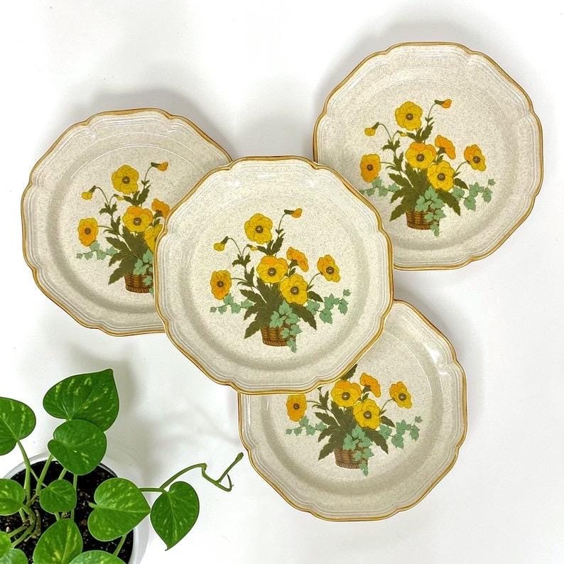 Vintage Mikasa Dinner Plates 1970s Retro Size 10.75
