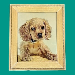 Vintage Leo Aarons Puppy Print 1950s Retro Size 25x21 Mid Century Modern Cocker Spaniel Surprise Dog Wall Art Kids Room or Nursey image 1