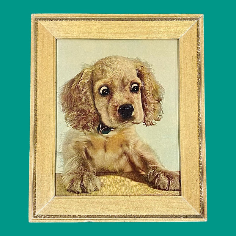 Vintage Leo Aarons Puppy Print 1950s Retro Size 25x21 Mid Century Modern Cocker Spaniel Surprise Dog Wall Art Kids Room or Nursey image 1