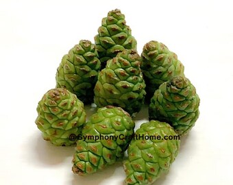 Soap Mold Pine Cone 3d Food-grade Silicone Molds Mold for Soap Christmas Mold Mold New Year Mold Free Shipping