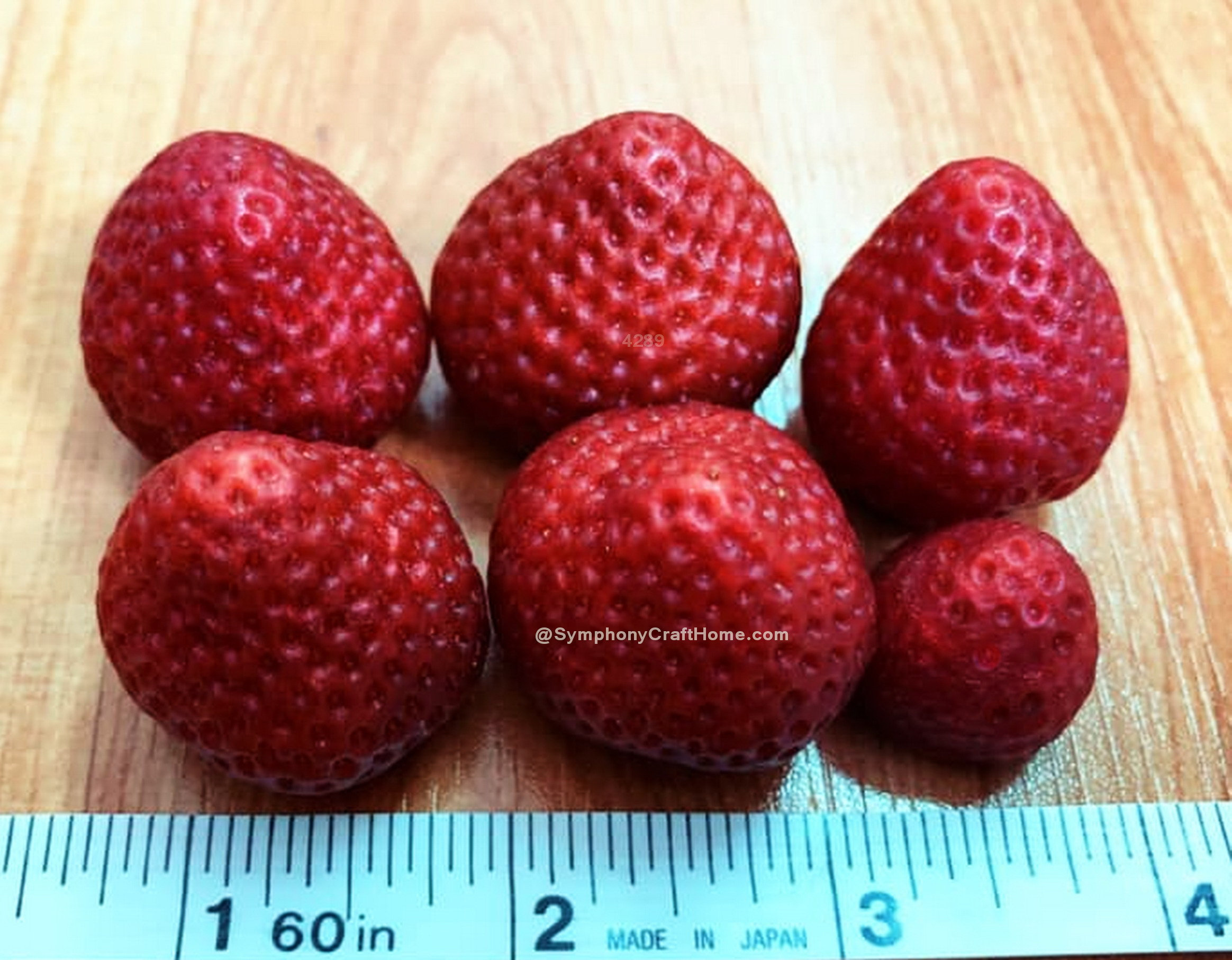 Realistic Strawberries, strawberry mold Fruit Shape Silicone Mold, Soap, Candle, Mold for Wax