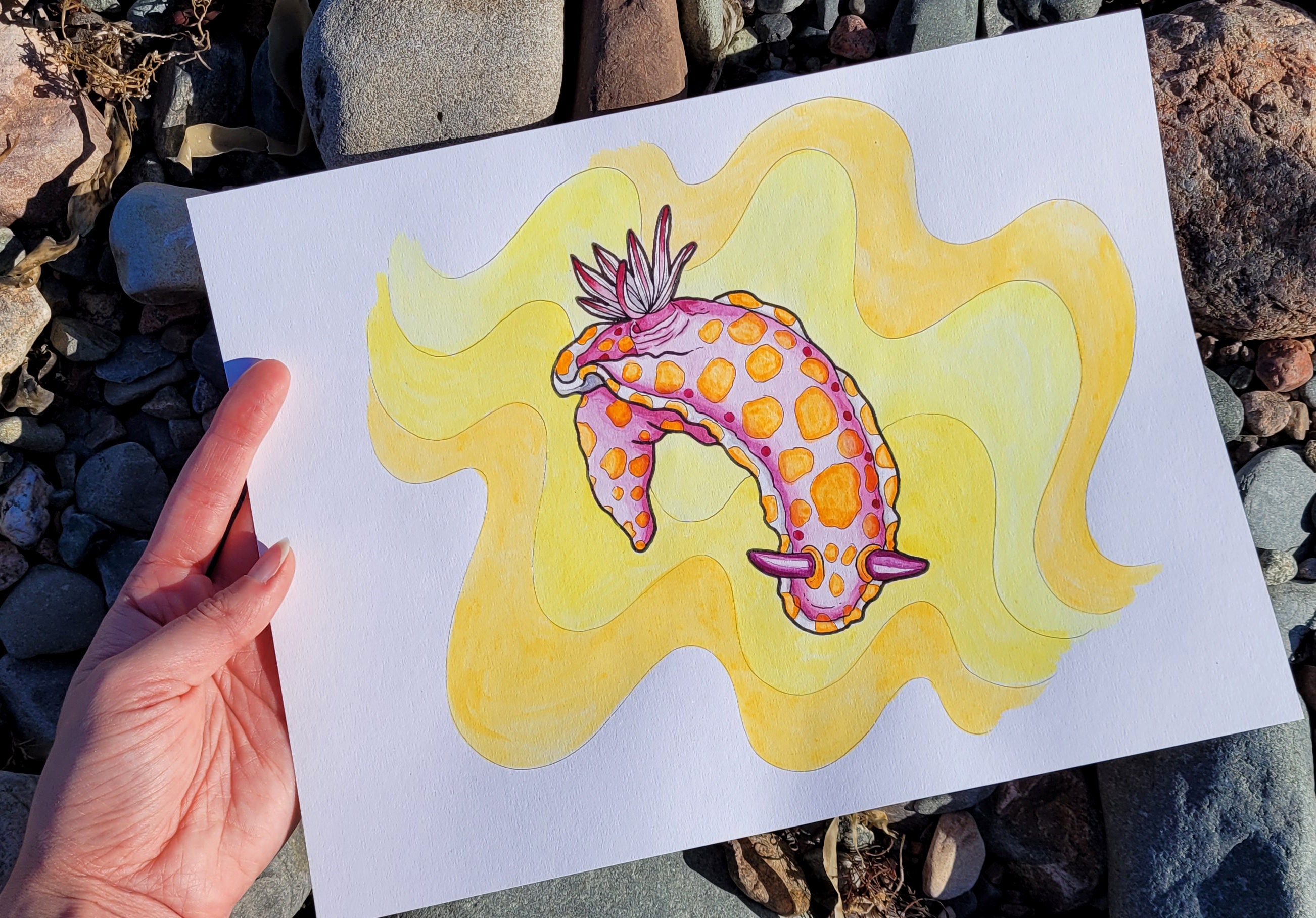 ウミウシのイラスト - ウミウシのインクと水彩画 - ピンク、オレンジ