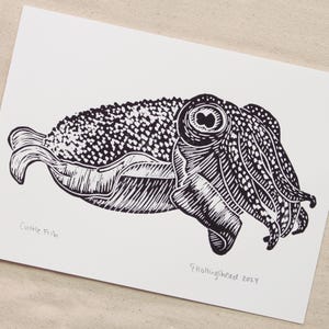 Hand Printed Lino-Cut Print - Cuttle Fish - beach, ocean, surf, dive