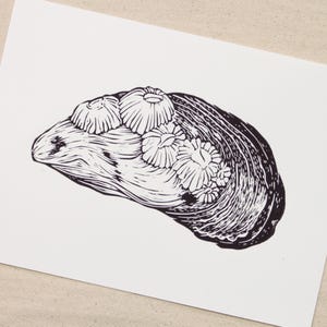 Impresión linográfica hecha a mano: concha de mejillón con percebes (océano, playa, surf)