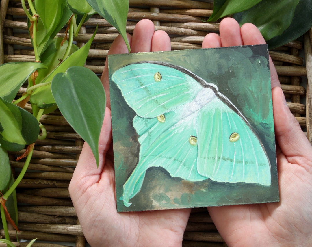 Luna Moth - Original Oil Painting on Wood - Small Art, Artwork, Paint ...