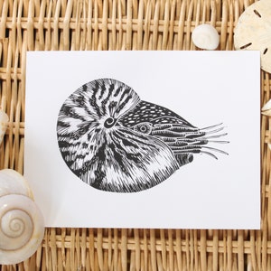 Handmade Block Print/Lino-cut Print - Nautilus - Marine Animal - ocean art, surf art, beach art, wall art, home decor, sea shell