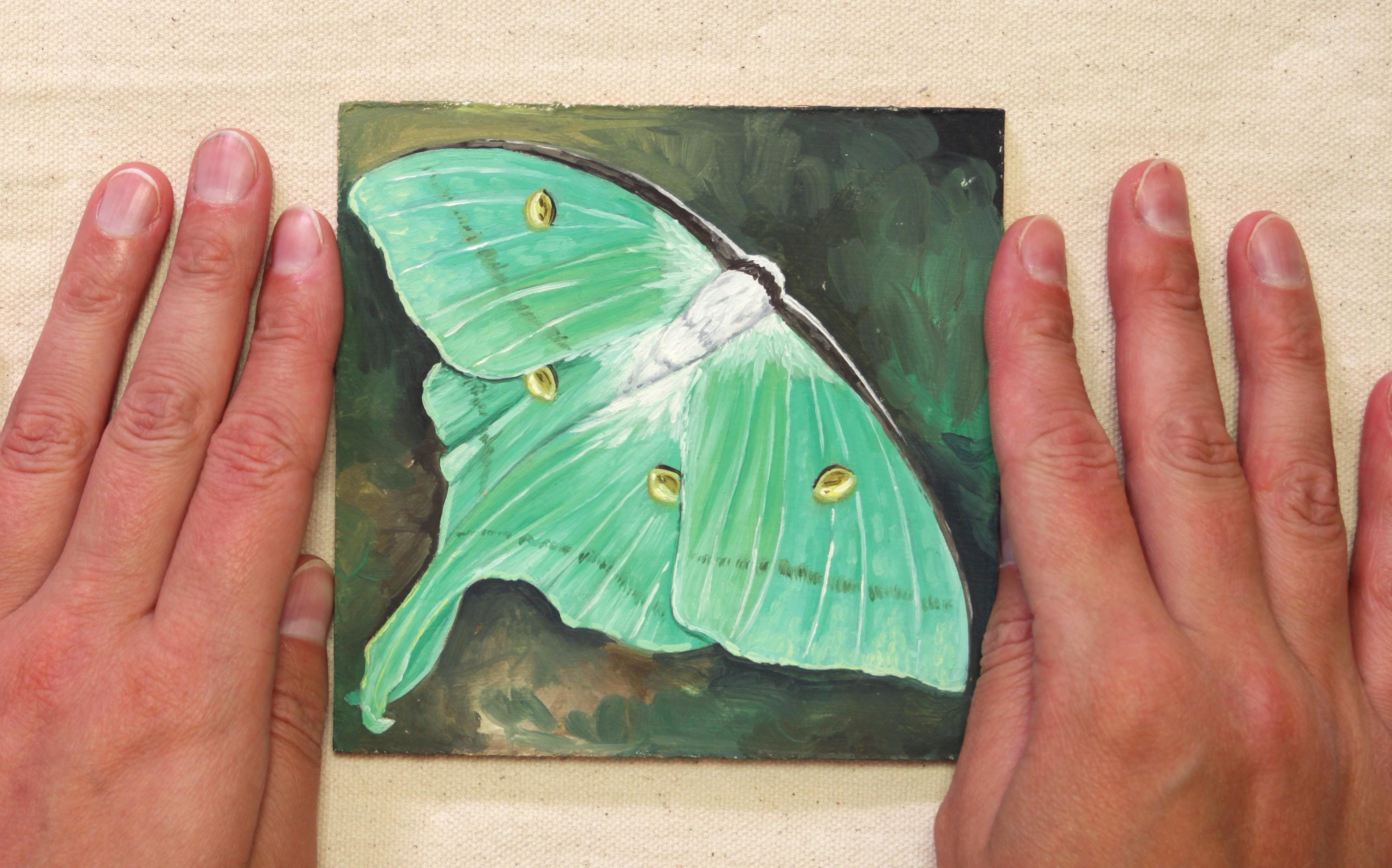 Luna Moth - Original Oil Painting on Wood - Small Art, Artwork, Paint ...