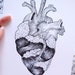 see more listings in the Ink Drawings section