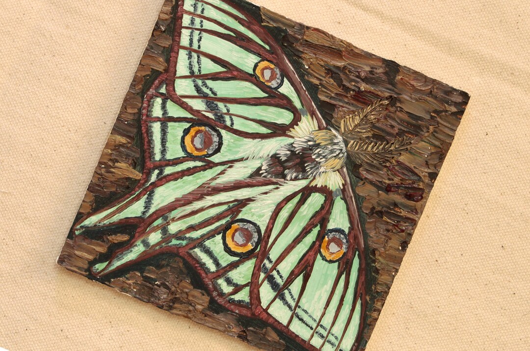 Spanish Luna Moth - Original Oil Painting on Wood Panel - Etsy