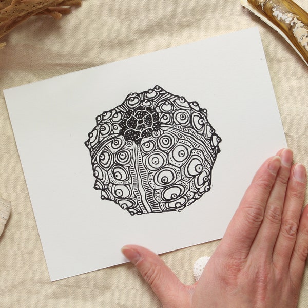 Sea Urchin Shell - hand-printed lino-cut print depicting a sea urchin shell - swim, surf, ocean, gift for beach lover, handmade