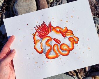 ウミウシのイラスト - ウミウシのインクと水彩画 - ピンク、オレンジ