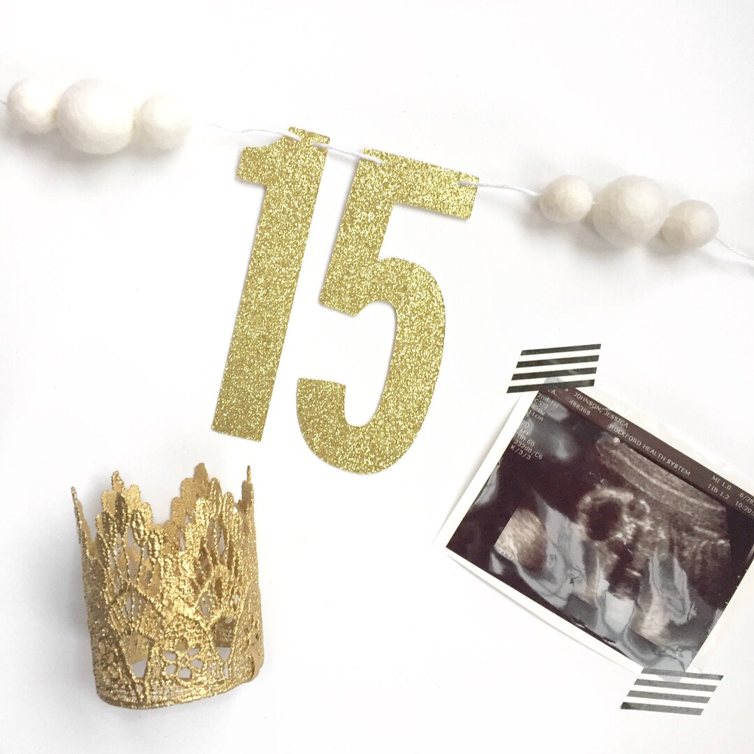 Pregnancy Tracker Weekly Bump Tracker Baby Bump Etsy