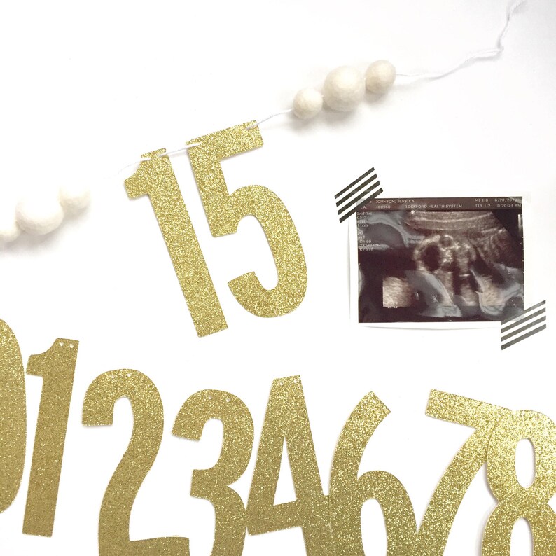 Pregnancy Tracker Weekly Bump Tracker Baby Bump Etsy